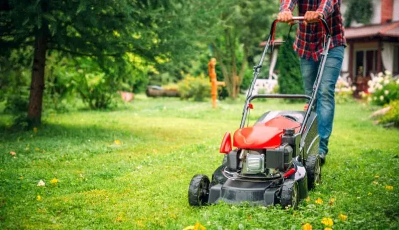 Qual o melhor cortador de grama? Veja 10 opções para cuidar do seu jardim